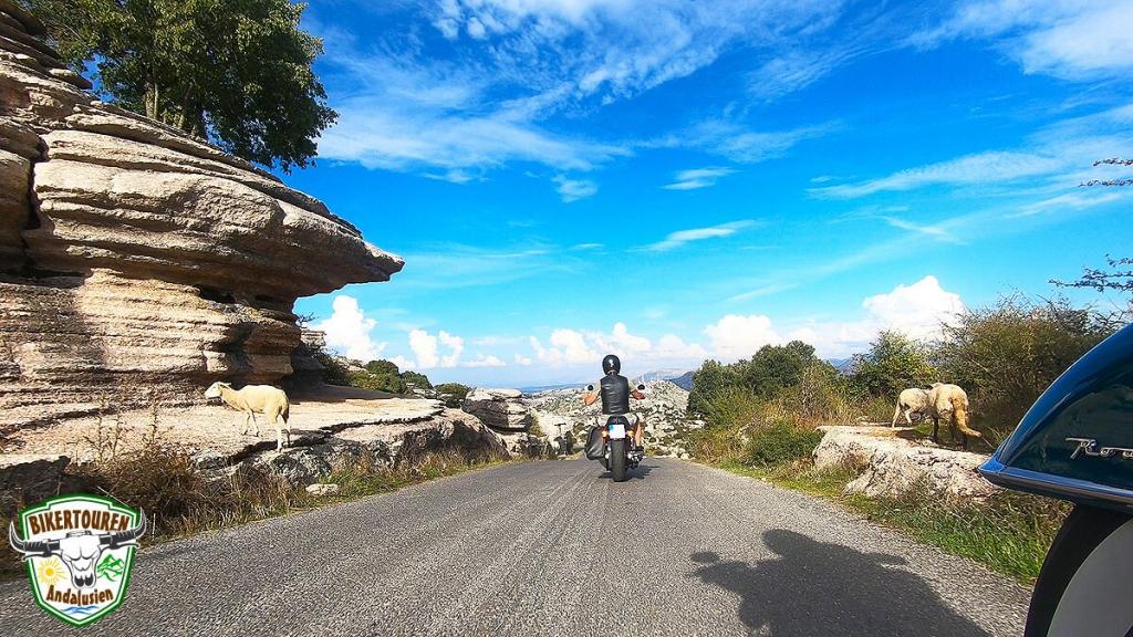 Paraje Natural Torcal de Antequera, Provincia de Málaga