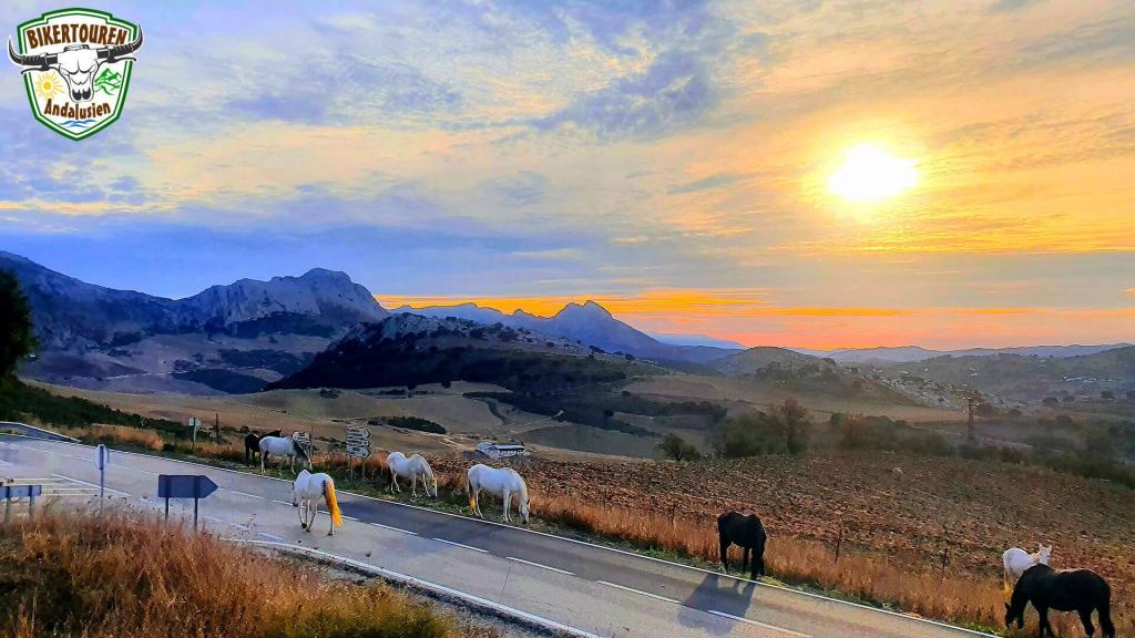 Paraje Natural Torcal de Antequera, Provincia de Málaga