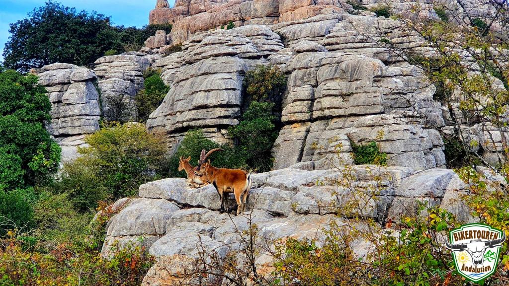 Paraje Natural Torcal de Antequera, Provincia de Málaga