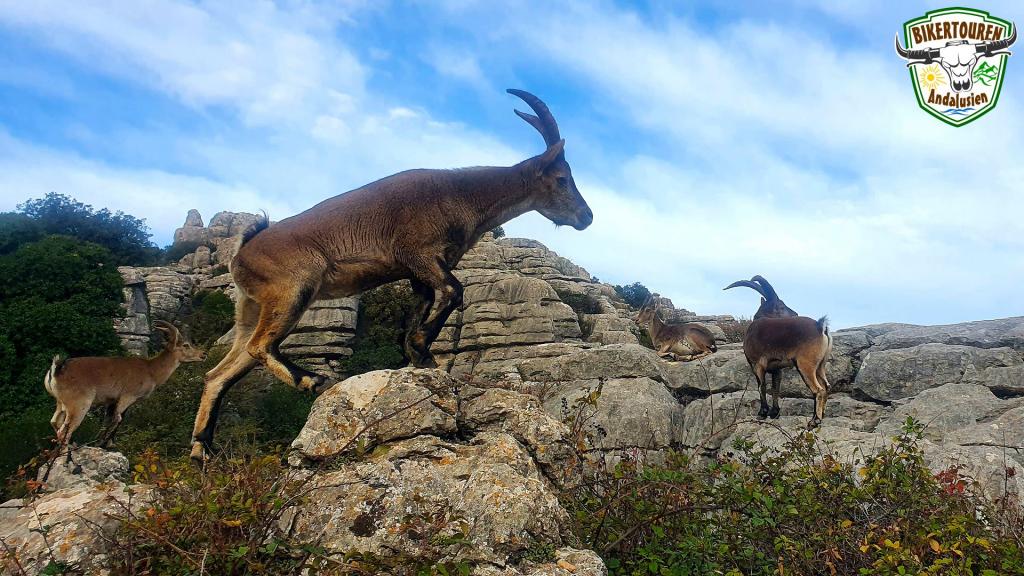 Paraje Natural Torcal de Antequera, Provincia de Málaga
