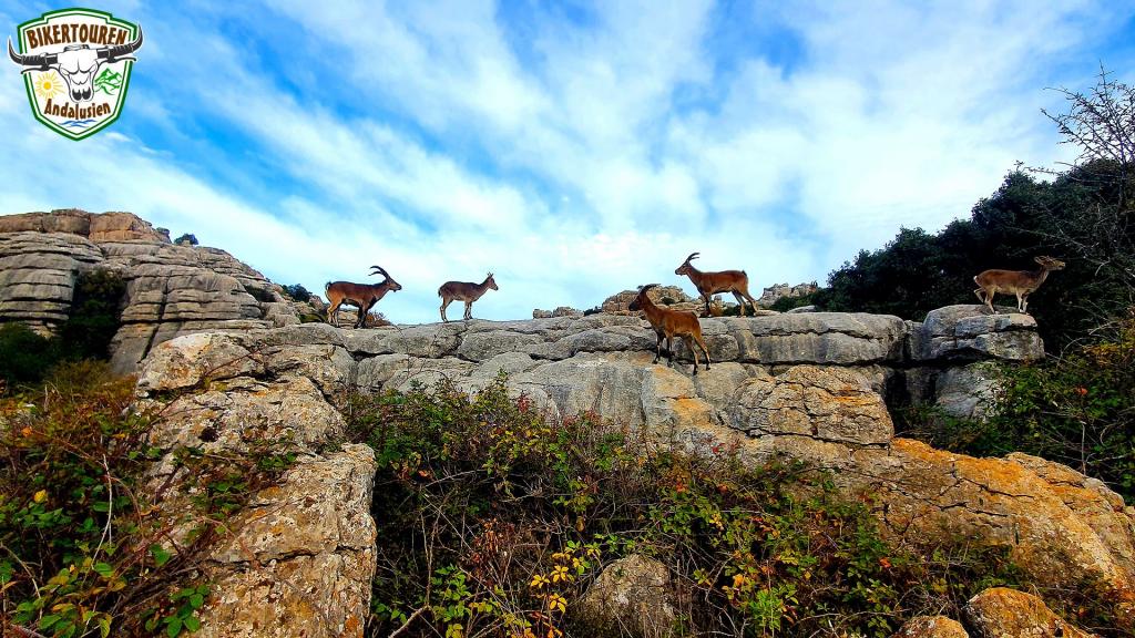 Paraje Natural Torcal de Antequera, Provincia de Málaga