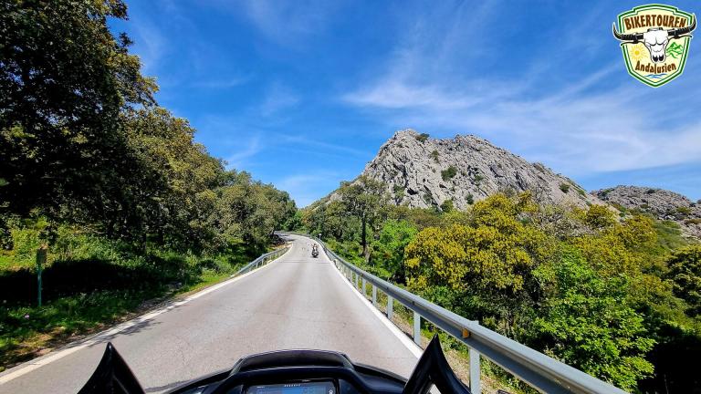 Parque Natural Los Alcornocales, Provincia de Cádiz