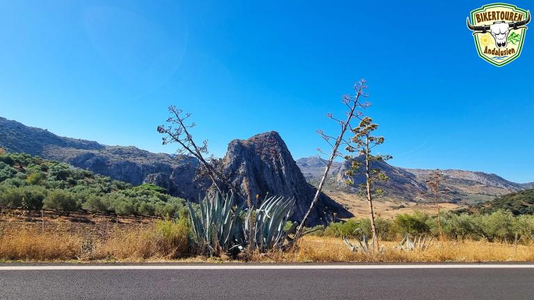 Parque Natural Sierra de Grazalema, Provincia de Cádiz y Málaga
